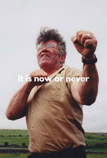It's Now or Never movie poster