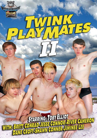 Twink Playmates 2 movie poster