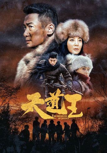 The Enforcer of Justice movie poster