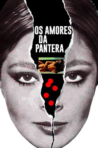 Os Amores da Pantera movie poster