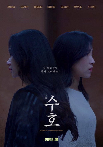 Suho movie poster