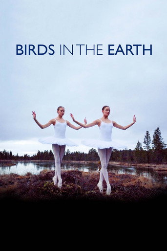 Birds in the Earth movie poster