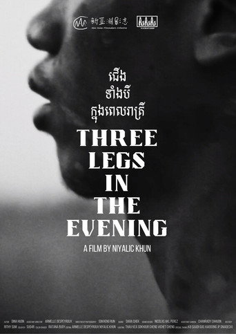 Three Legs in the Evening movie poster