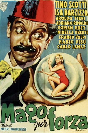 Il mago per forza movie poster