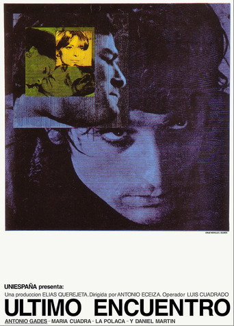 The Last Meeting movie poster
