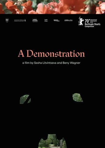 A Demonstration movie poster