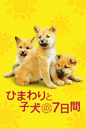 7 Days of Himawari & Her Puppies movie poster