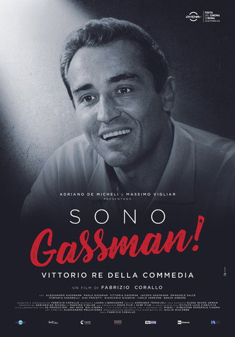 Sono Gassman! - Vittorio re della commedia movie poster