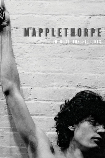 Mapplethorpe: Look at the Pictures movie poster