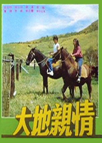 Love on the Big Country movie poster