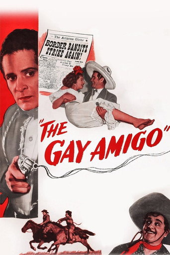 The Gay Amigo movie poster