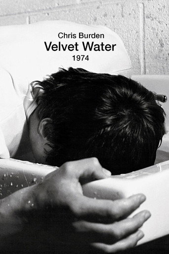 Velvet Water movie poster