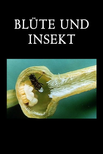 Blossom and Insect movie poster