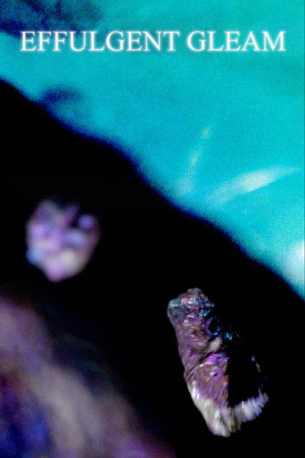 Effulgent Gleam movie poster