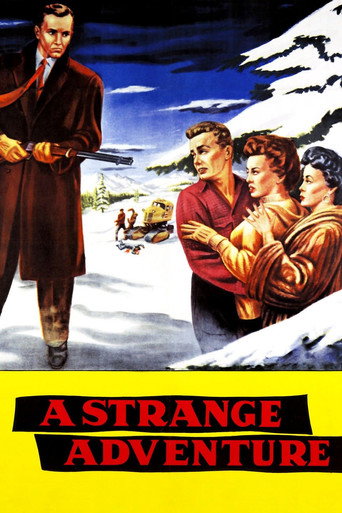 A Strange Adventure movie poster