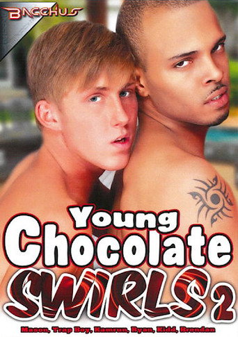 Young Chocolate Swirls 2 movie poster