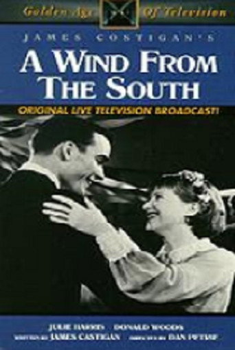 A Wind from the South movie poster