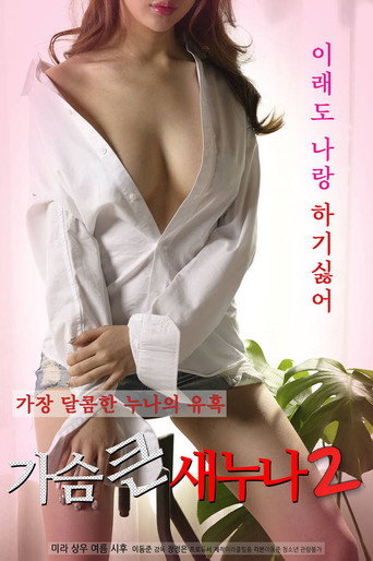 Big Breasts Sister 2 movie poster