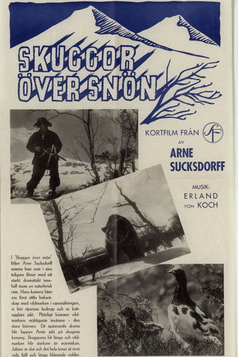 Shadows on the Snow movie poster