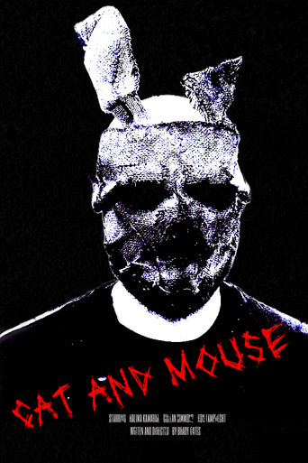 Cat and Mouse movie poster