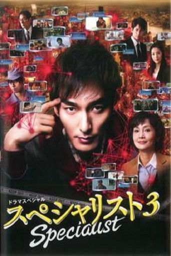 Specialist 3 movie poster