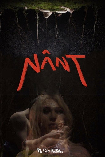 Nânt movie poster
