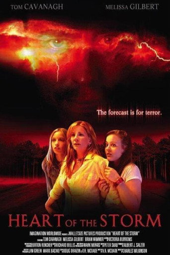 Heart of the Storm movie poster