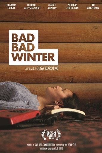 Bad Bad Winter movie poster