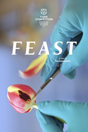 Feast movie poster