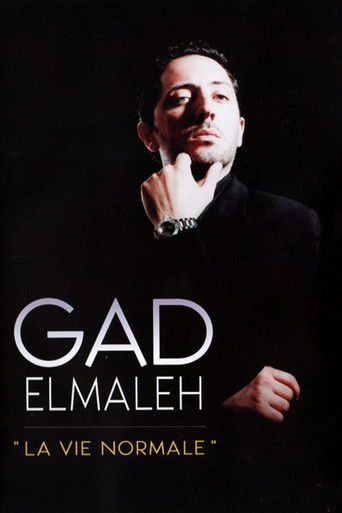 Gad Elmaleh - La Vie normale movie poster