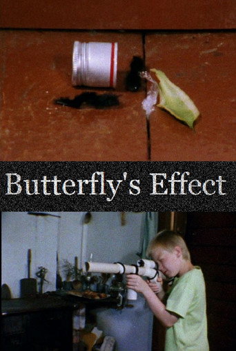 Butterfly's Effect movie poster