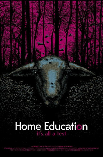 Home Education movie poster