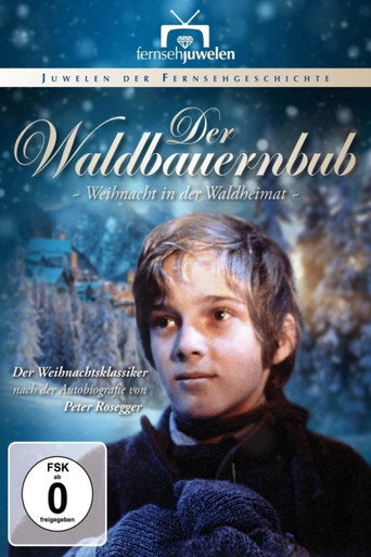 Der Waldbauernbub - Weihnacht in der Waldheimat movie poster
