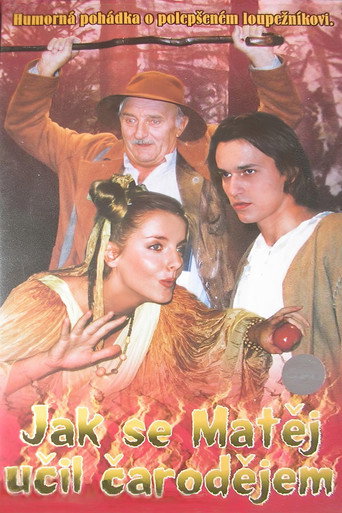 Jak se Matěj učil čarodějem movie poster