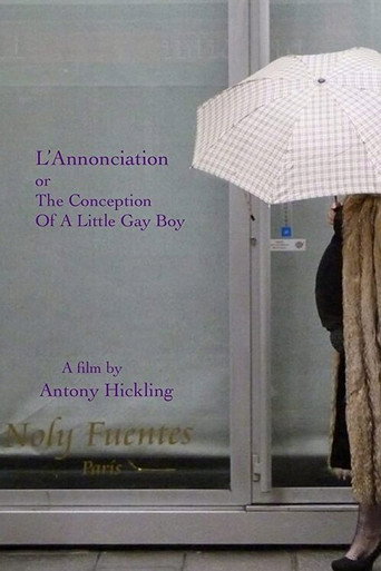 L'Annonciation or The Conception of a Little Gay Boy movie poster