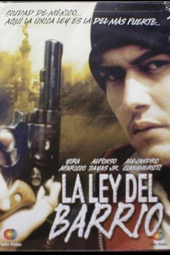 La ley del barrio movie poster