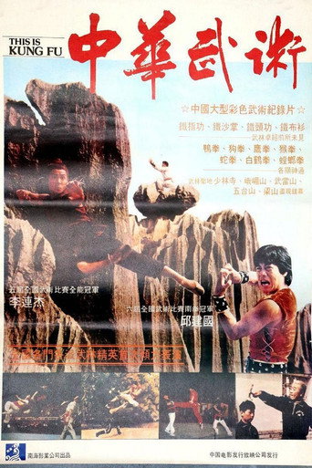 This Is Kung Fu movie poster