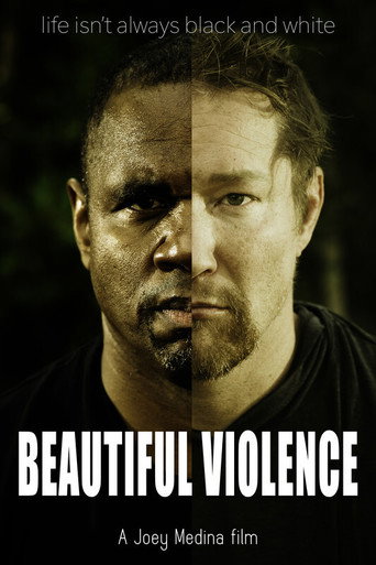 Beautiful Violence movie poster
