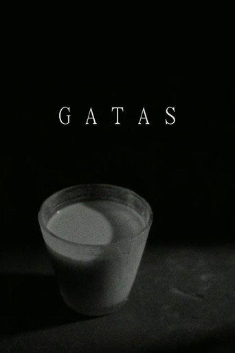 Gatas movie poster