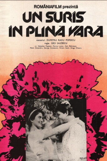 A Midsummer Day's Smile movie poster