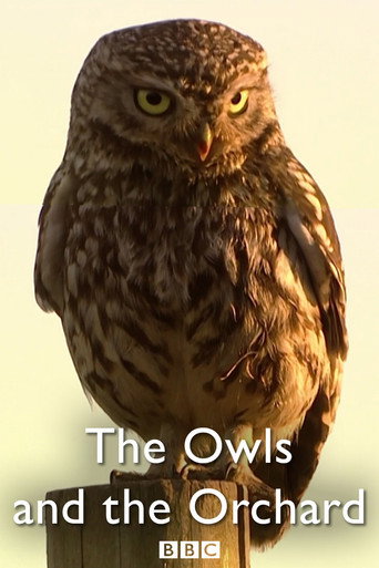 The Owls and the Orchard movie poster