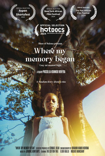 Where My Memory Began movie poster