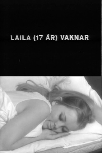 Laila Wakes Up movie poster