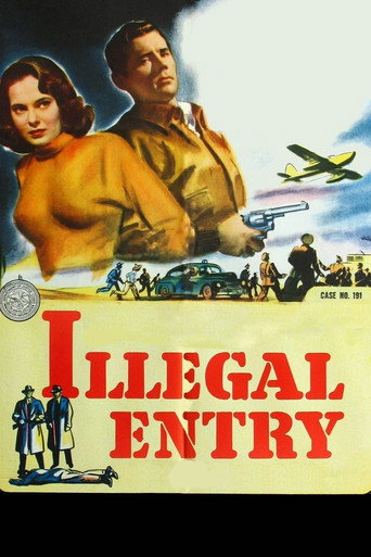 Illegal Entry movie poster
