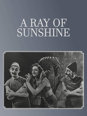 A Ray of Sunshine movie poster