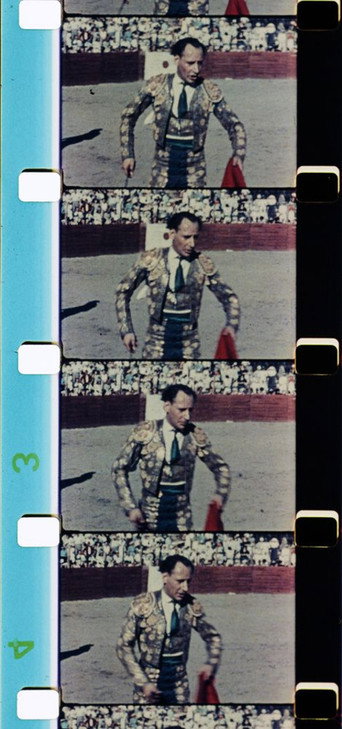 Course landaise movie poster
