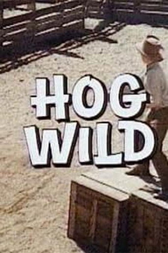 Hog Wild movie poster