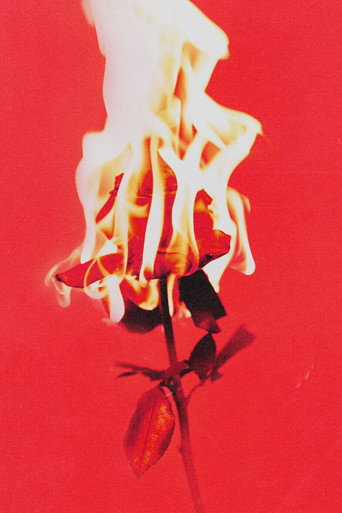 Love or Loved Part.1 Official Live Clip movie poster