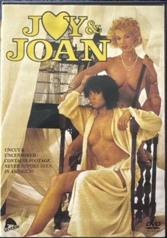 Joy & Joan movie poster