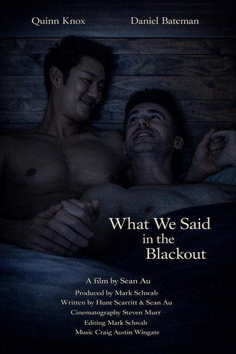 What We Said in the Blackout movie poster